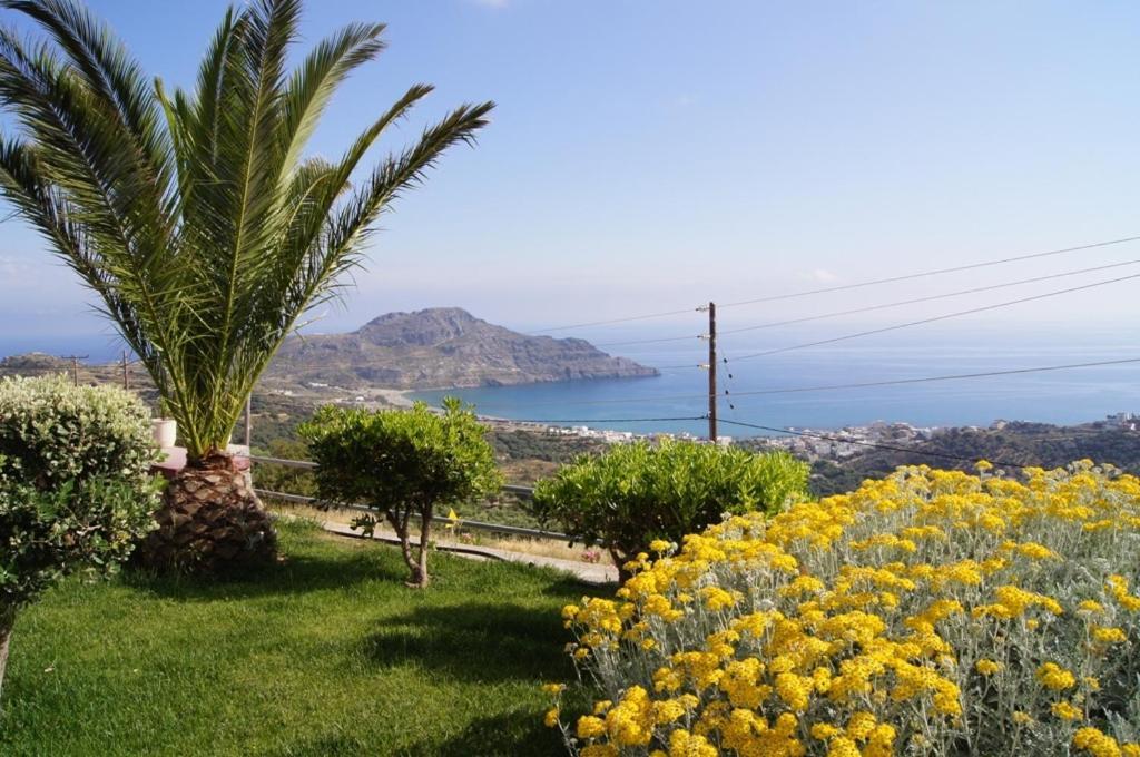 Chrisanthi & Apartment Plakias